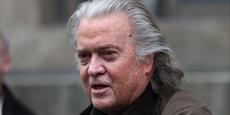 Steve Bannon pleads guilty in border wall fraud case