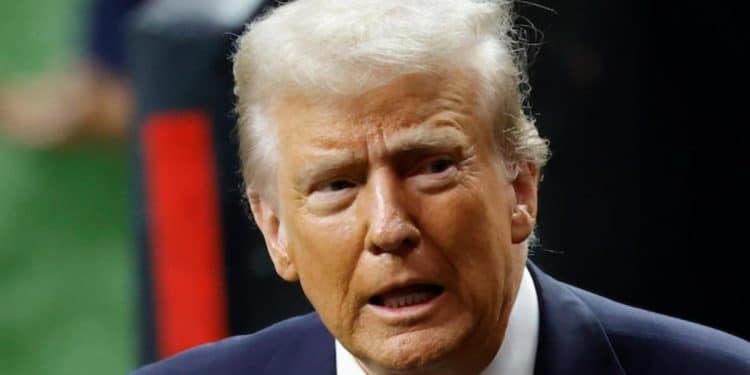 The legal blowback to Trump’s executive orders