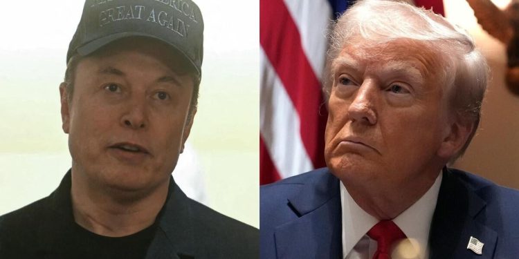 Trump, Musk comment at first Cabinet meeting