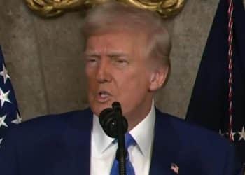 Trump signs executive order on IVF, takes questions on Ukraine and more