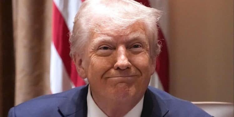 U.S. could earn profits from Ukraine’s rare minerals