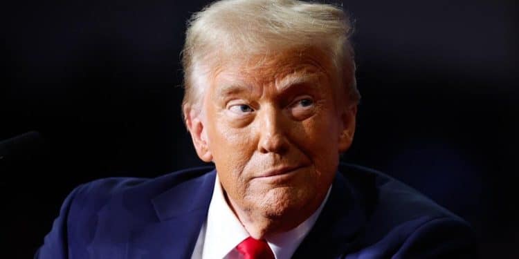 USAID cuts are just the start of Trump, Musk plan to slash agency spending