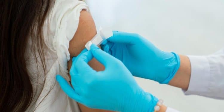 What FDA’s cancelled meeting means for updated flu vaccine, public health