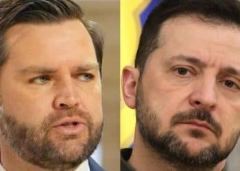 What did JD Vance, Zelenskyy discuss as Trump administration pushes peace plans?