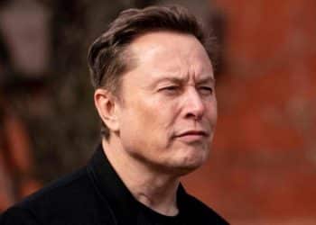White House tells court Elon Musk is not part of DOGE