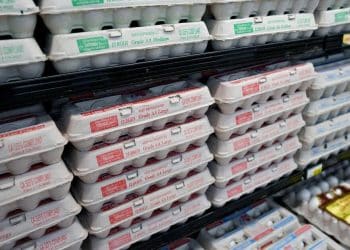 Why Americans are planning an “economic blackout” day