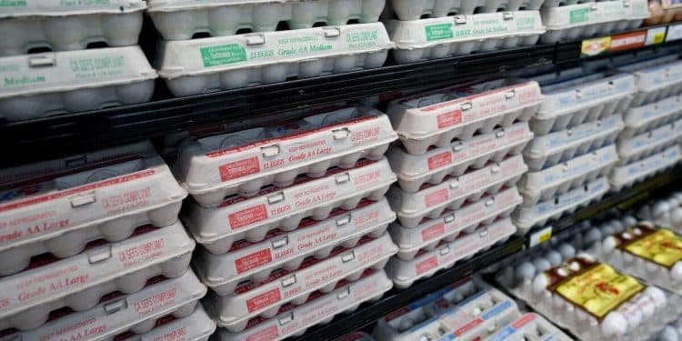 Why Americans are planning an “economic blackout” day