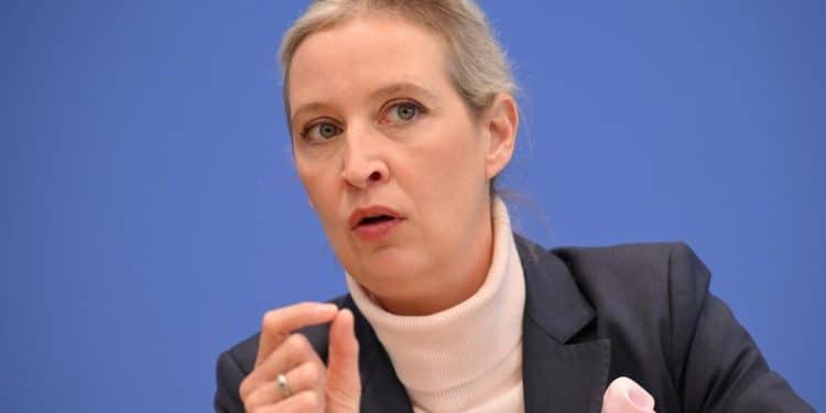 Why some German voters embraced the far right