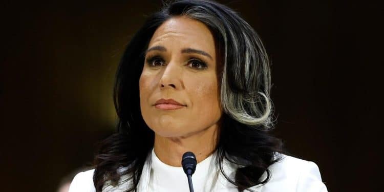 Why Tulsi Gabbard will likely be confirmed as director of national intelligence