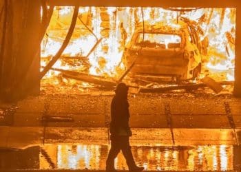 Wildfires becoming less frequent but more destructive, study finds