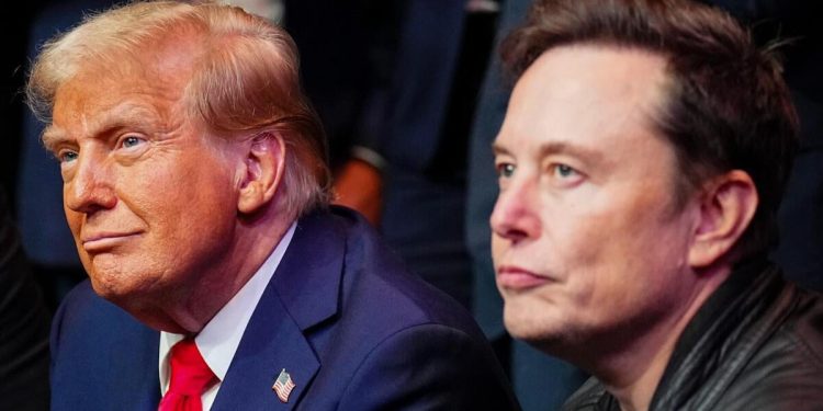 Will Americans get $5,000 checks from DOGE savings like Trump, Musk claim?