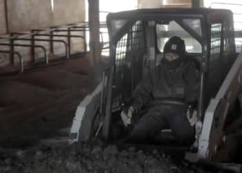 Wisconsin dairy farms face uncertainty amid immigration crackdown