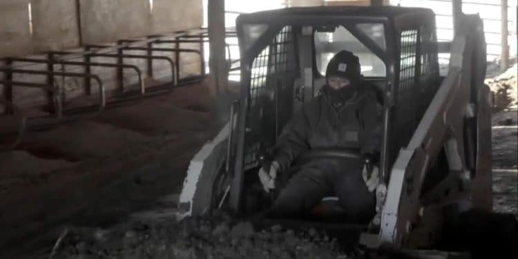 Wisconsin dairy farms face uncertainty amid immigration crackdown