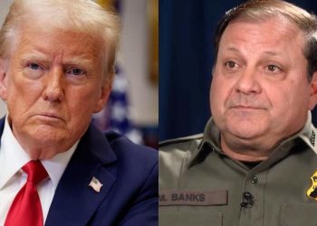 Full interview: Border Patrol chief on Trump’s immigration, deportation and asylum policies