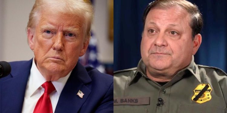 Full interview: Border Patrol chief on Trump’s immigration, deportation and asylum policies