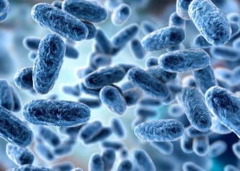 U.S. records most whooping cough deaths since 2017