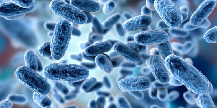 U.S. records most whooping cough deaths since 2017