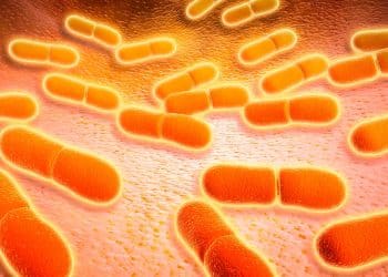 Here’s how many Americans die from foodborne illnesses each year