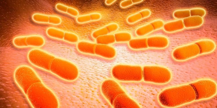 Here’s how many Americans die from foodborne illnesses each year