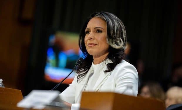 Tulsi Gabbard faces crucial Senate committee vote on intel chief nomination