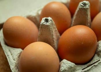 U.S. considers increasing egg imports amid skyrocketing prices