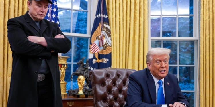 Musk is not an employee of DOGE and has no authority, White House says