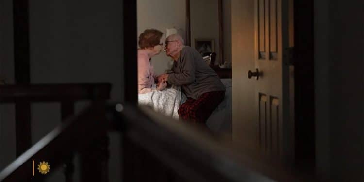 A nightly musical elixir of love