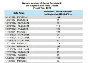 Case surge from fired federal workers jams federal board