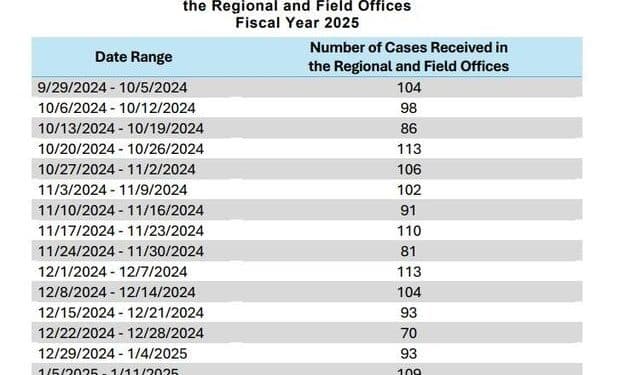 Case surge from fired federal workers jams federal board