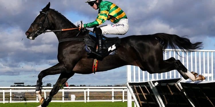 Irish jockey Michael O’Sullivan dies from injuries sustained in fall