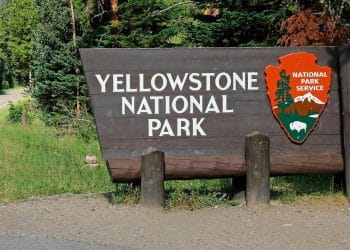 Trump administration fires thousands of U.S. Forest and National Park Service workers