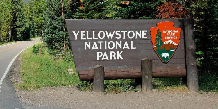 Trump administration fires thousands of U.S. Forest and National Park Service workers