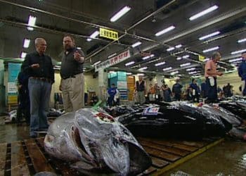 The King of Sushi | 60 Minutes Archive