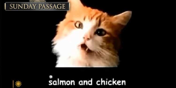 Passage: In memoriam