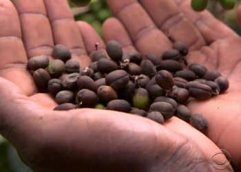 Why are coffee prices soaring in the U.S.?