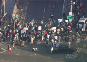 Demonstrators block 101 Freeway during protest against ICE raids