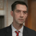 Extended interview: Sen. Tom Cotton on the dangers of China