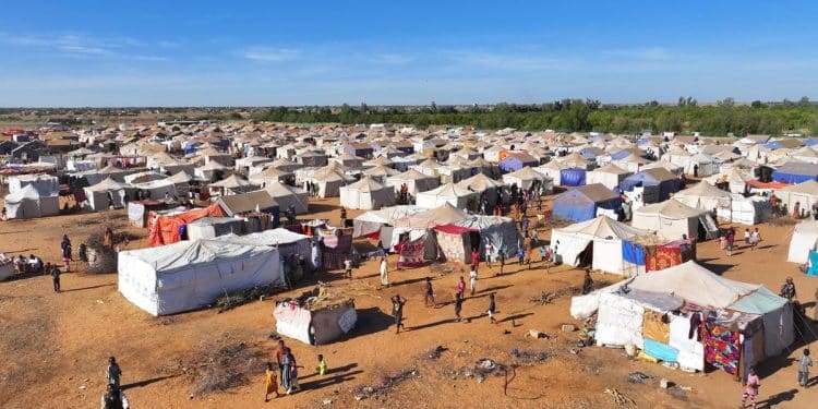 At least 54 dead after paramilitary group attacks open market in Sudan