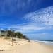 Shark kills girl in Australia in 3rd fatal attack in just over 5 weeks