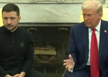 2/28: The Daily Report