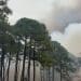 Wildfires erupt across the Carolinas forcing some to evacuate