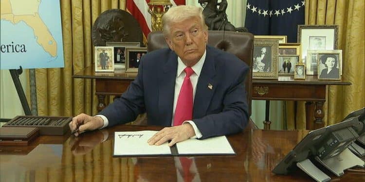 3/6: The Daily Report