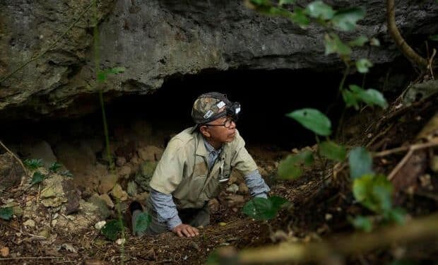 Man searching for WWII dead in Japan finds hundreds of human remains