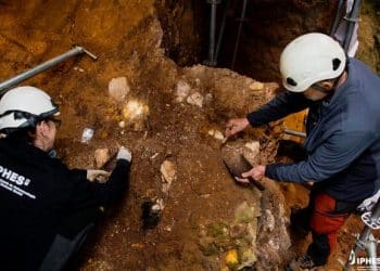 Earliest human face fossil from Western Europe revealed in study