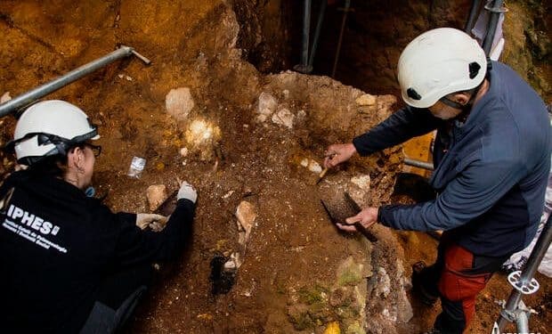 Earliest human face fossil from Western Europe revealed in study