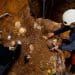 Earliest human face fossil from Western Europe revealed in study