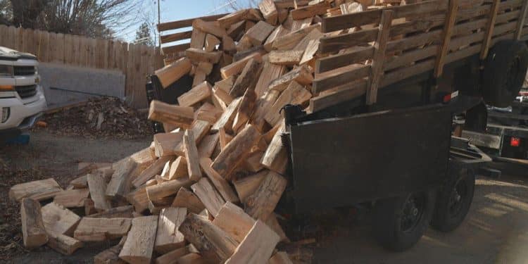 Wood thinned from forests prevents wildfires and heats Native American homes