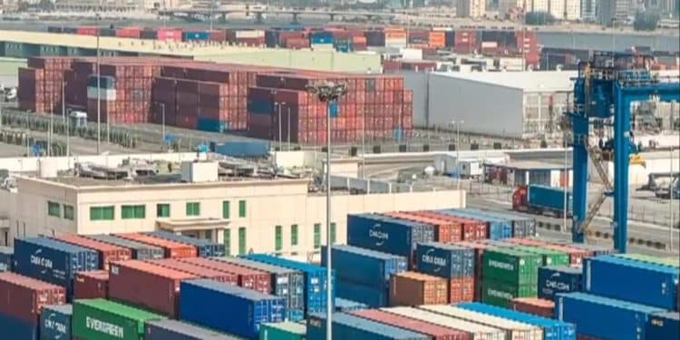 Border businesses experiencing “uncertainty, chaos” over tariffs, CEO says