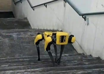 Honolulu police want to teach new tricks to its COVID-era robot dog