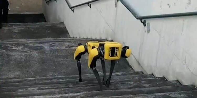 Honolulu police want to teach new tricks to its COVID-era robot dog